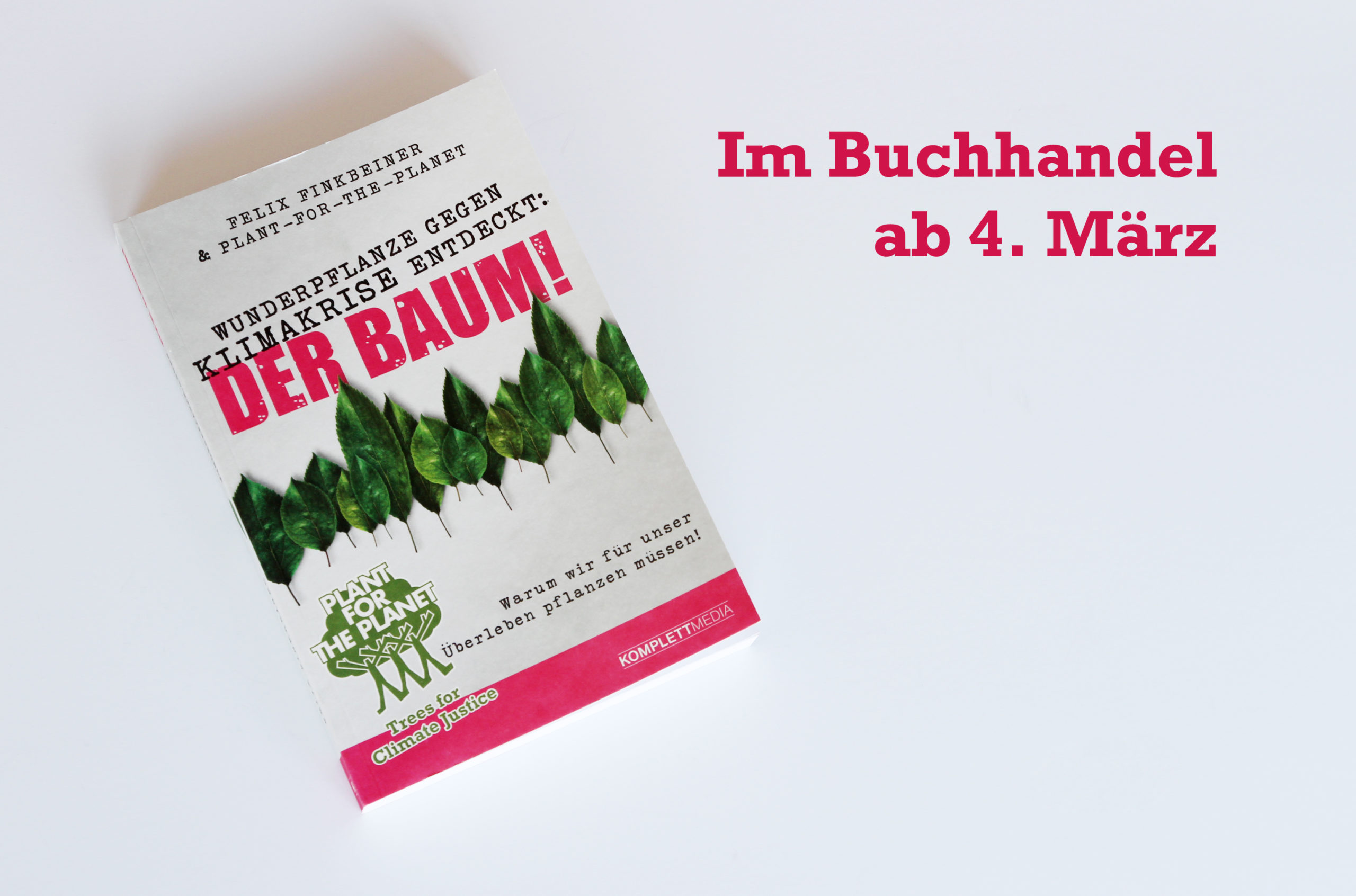 Featured image for “Warum Bäume echte Wunderpflanzen sind”