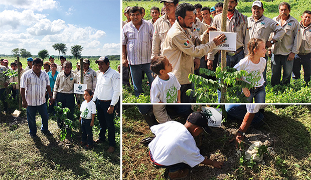 Featured image for “One Million Trees – A role model for our survival”