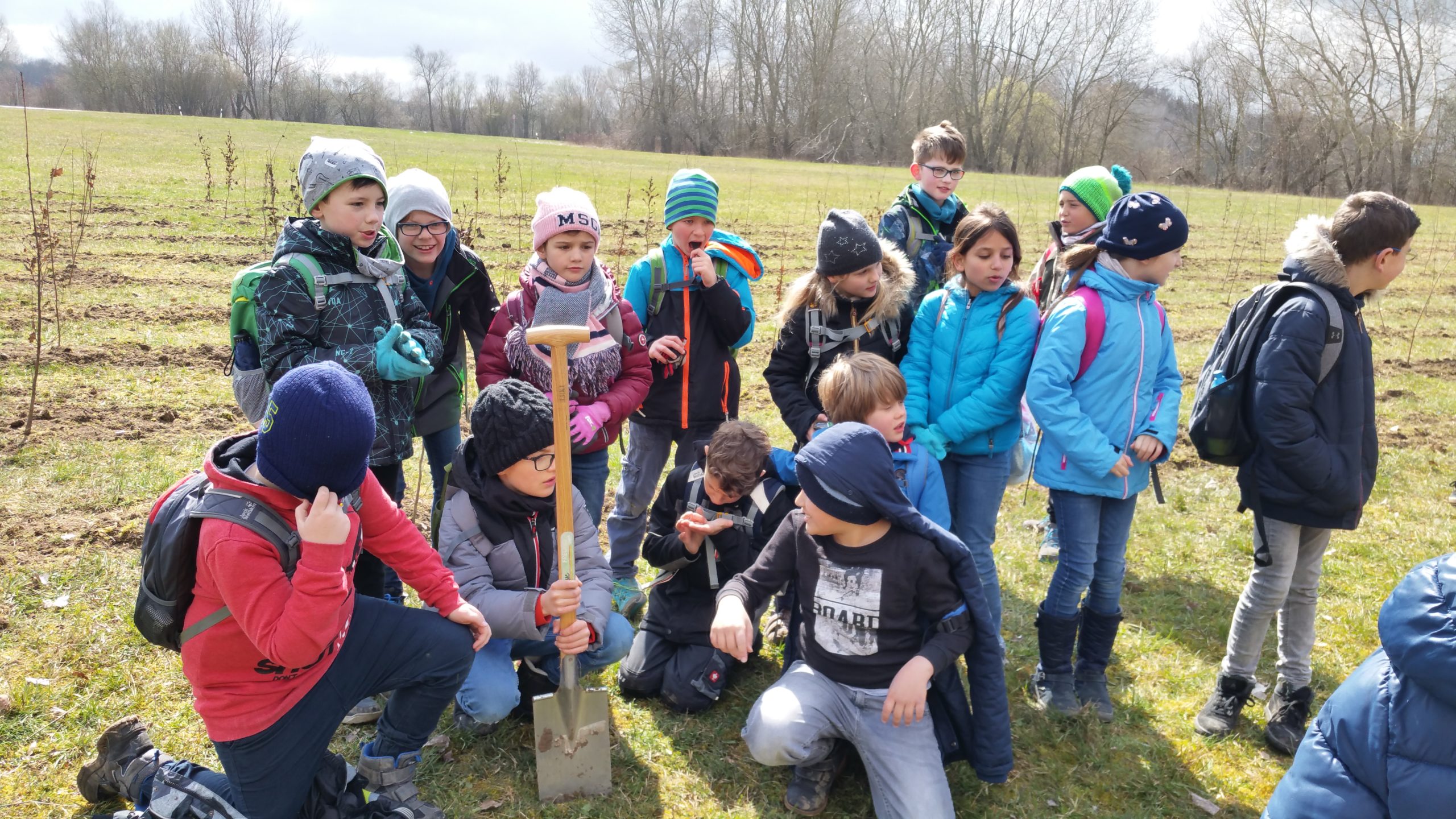 Featured image for “Große Pflanzaktion im Burlafinger Wald”