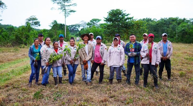 Mid-term in Yucatán: One million trees planted! - Plant-for-the-Planet Blog