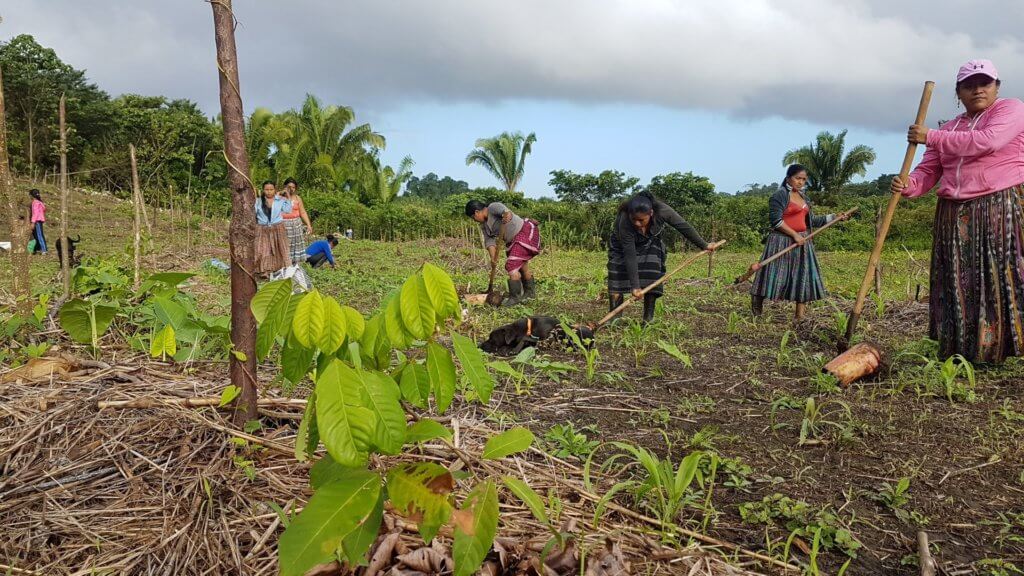 Campers restoring ecosystems across the world, many communities at a ...