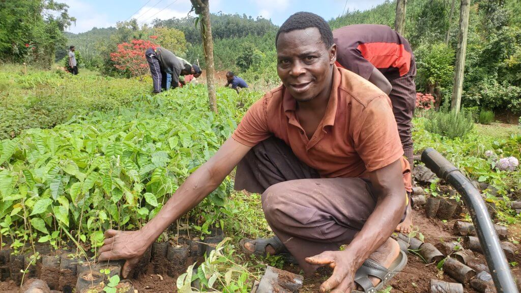 Forest Focus: Reforestation and Agroforestry Addressing Extreme Poverty ...