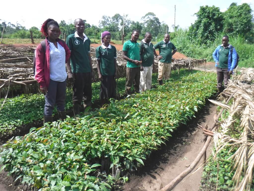 Bulindi Chimpanzee and Community Project: Restoring Ecosystems in ...