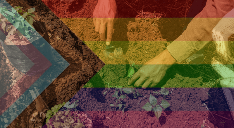 Featured Image for “How Green is the Rainbow?”