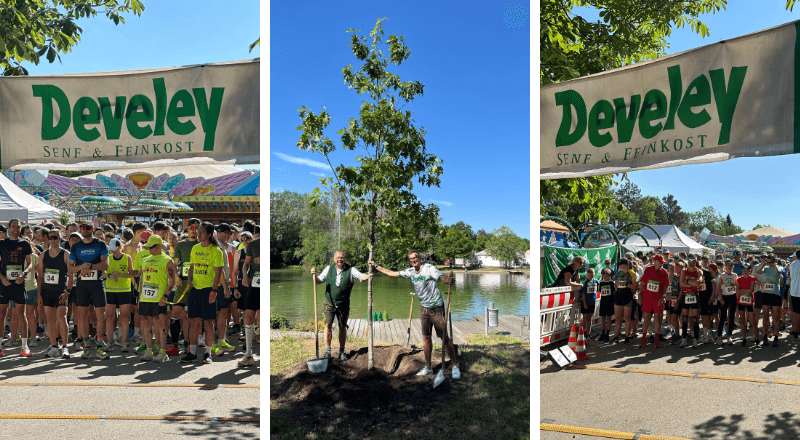 Featured image for “Run4Trees®: Rekordbeteiligung beim 15. Benefizlauf in Unterhaching”