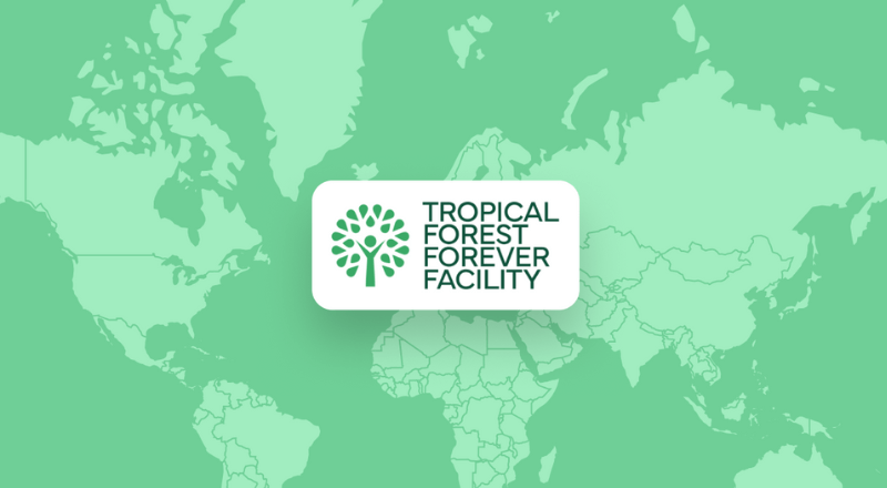 Featured image for “Tropical Forest Forever Facility (TFFF): Ein neues Finanzmodell für den Waldschutz”