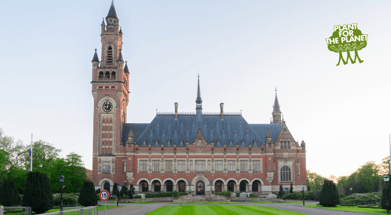 Featured image for “Plant-for-the-Planet Statement on the ICJ Advisory Opinion: A Historic Decision in the Fight Against the Climate Crisis”
