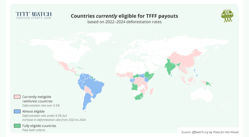 Featured image for “Mapping the TFFF: How the World’s Largest Rainforest Fund Rewards Conservation”