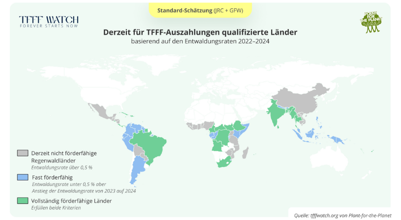 Featured Image for “Drei Tage vor TFFF-Start: Wer profitiert vom größten Regenwaldfonds der Geschichte?<br>”