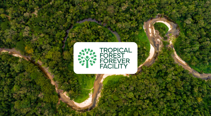 Featured image for “Statement on Germany’s Investment in the Tropical Forest Forever Facility”