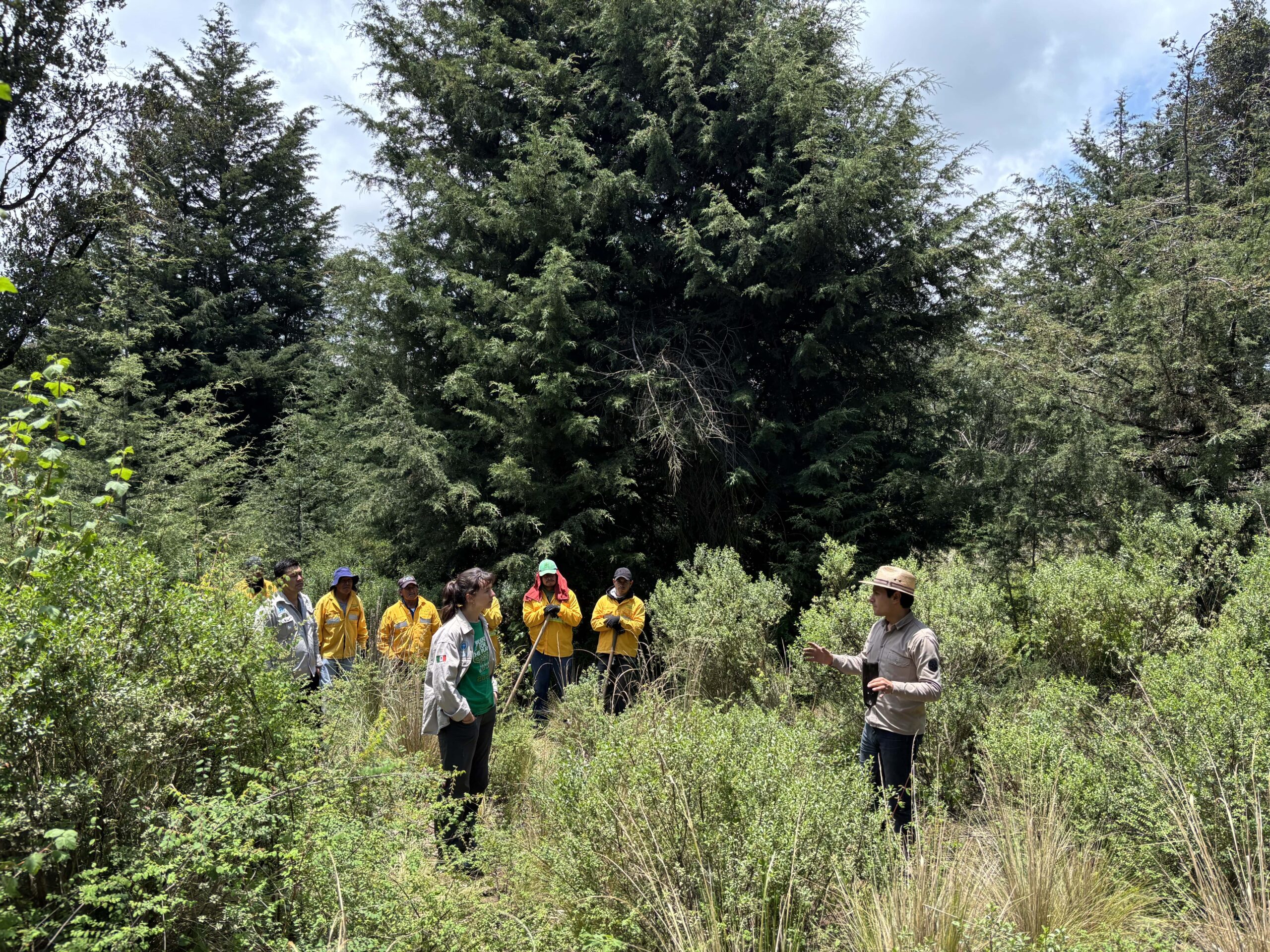 Featured image for “Von der Tafel bis zum Baum – Wie wir Transparenz bei Die Gute Schokolade schaffen”