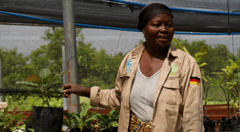 Featured Image for “Wenn die Trockenzeit Stürme bringt: Der Wiederaufbau unserer Baumschule in Ghana”
