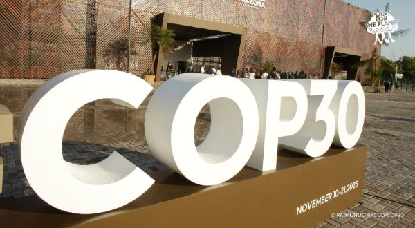 Featured Image for “Rainforest-COP ends with contradictory results for forests – Climate Conference generally fails to meet expectations ”