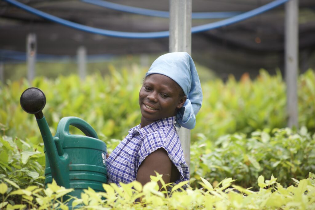 Baumschule Ghana, Frauen Empowerment, Renaturierung 