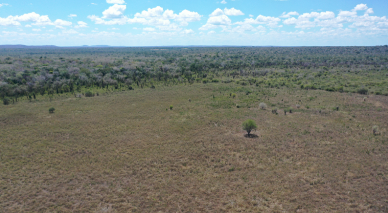 Featured image for “Plant-for-the-Planet fordert strenge Umsetzung der Klimaziele und stärkere internationale Klimafinanzierung ”