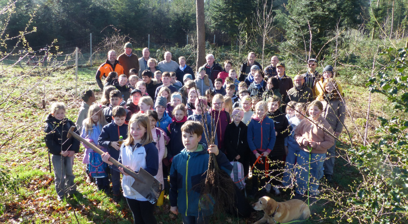 Featured Image for “Kinder pflanzen Bäume für das Klima – Grundschulkinder aus Riesenbeck im Surenburger Wald”