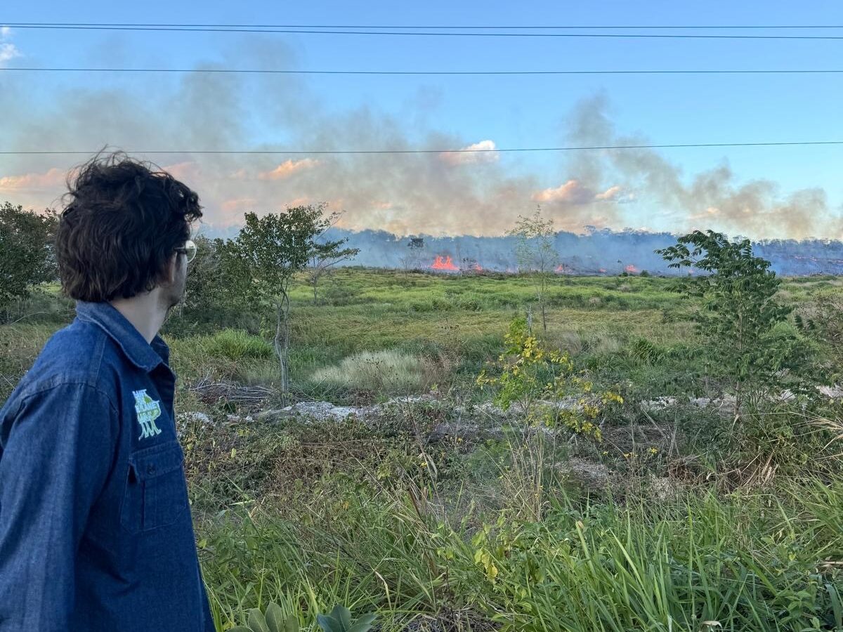 Ein großer Flächenbrand im Hintergrund. Plant-for-the-Planet Gründer Felix Finkbeiner sieht sich besorgt um.