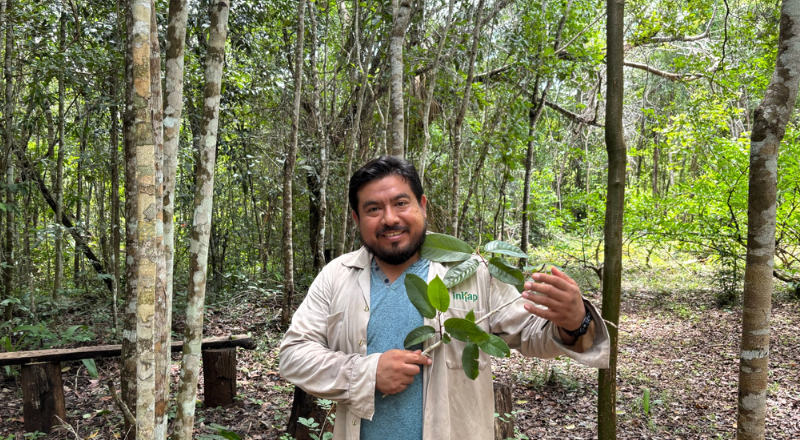 Featured image for “How Every Step Supports Biodiverse Forests: Seven steps from degradation to biodiversity”