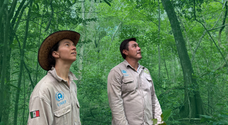 Featured Image for “Planting a tree is easy, but what if you want to restore a forest?”