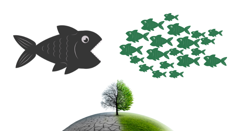 Featured image for “How the New UN Resolution Shows the Power of Grassroots Climate Action.”