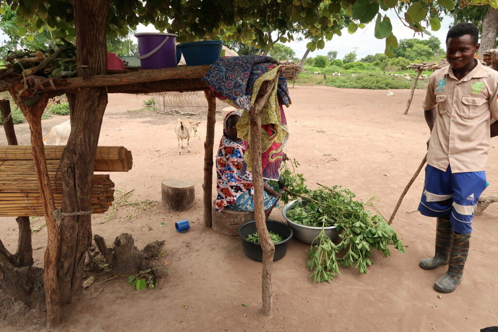 Plant-for-Ghana Community, woman using the trees.
