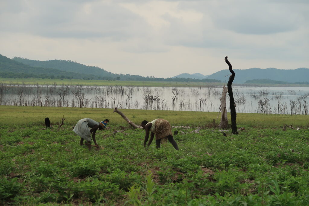 Farmers in Ghana, near Mole national park, Ghana.