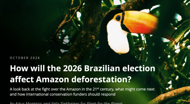 Featured Image for “Brasiliens Wahl 2026: Was bedeutet sie für die Zukunft des Amazonas?”