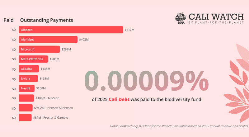 Featured image for “Just 0.00009% Paid into Cali Fund: Plant-for-the-Planet Shows Billion-Dollar Biodiversity Funding Gap”