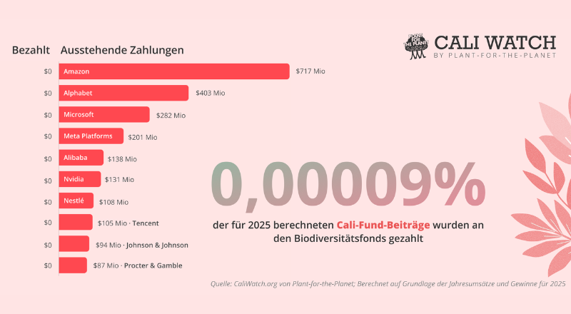 Featured image for “Erst 0,00009 Prozent eingezahlt: Plant-for-the-Planet macht Milliardenlücke beim Cali-Fonds sichtbar”
