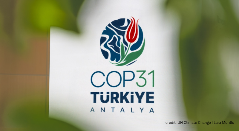 Featured Image for “COP 31 einfach erklärt: Die wichtigsten Begriffe der Weltklimakonferenz”