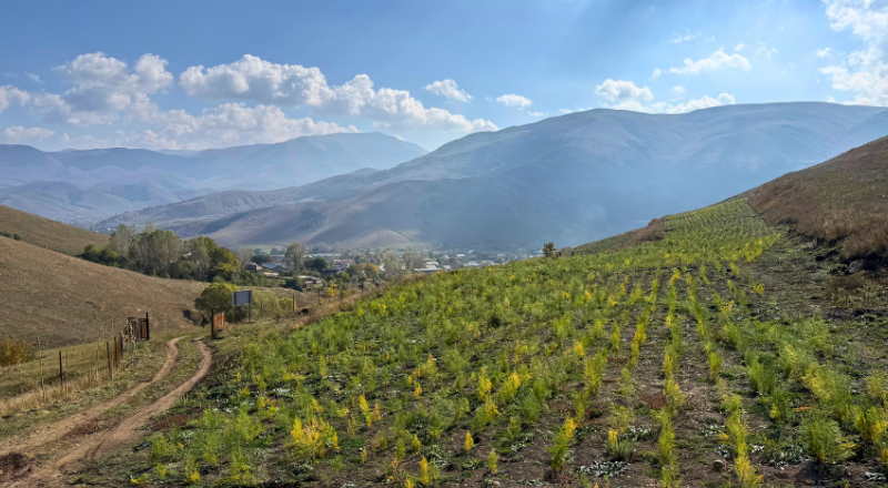 Featured image for “How Agroforestry Can Be a Win-Win-Win for Nature, Biodiversity, and Communities”